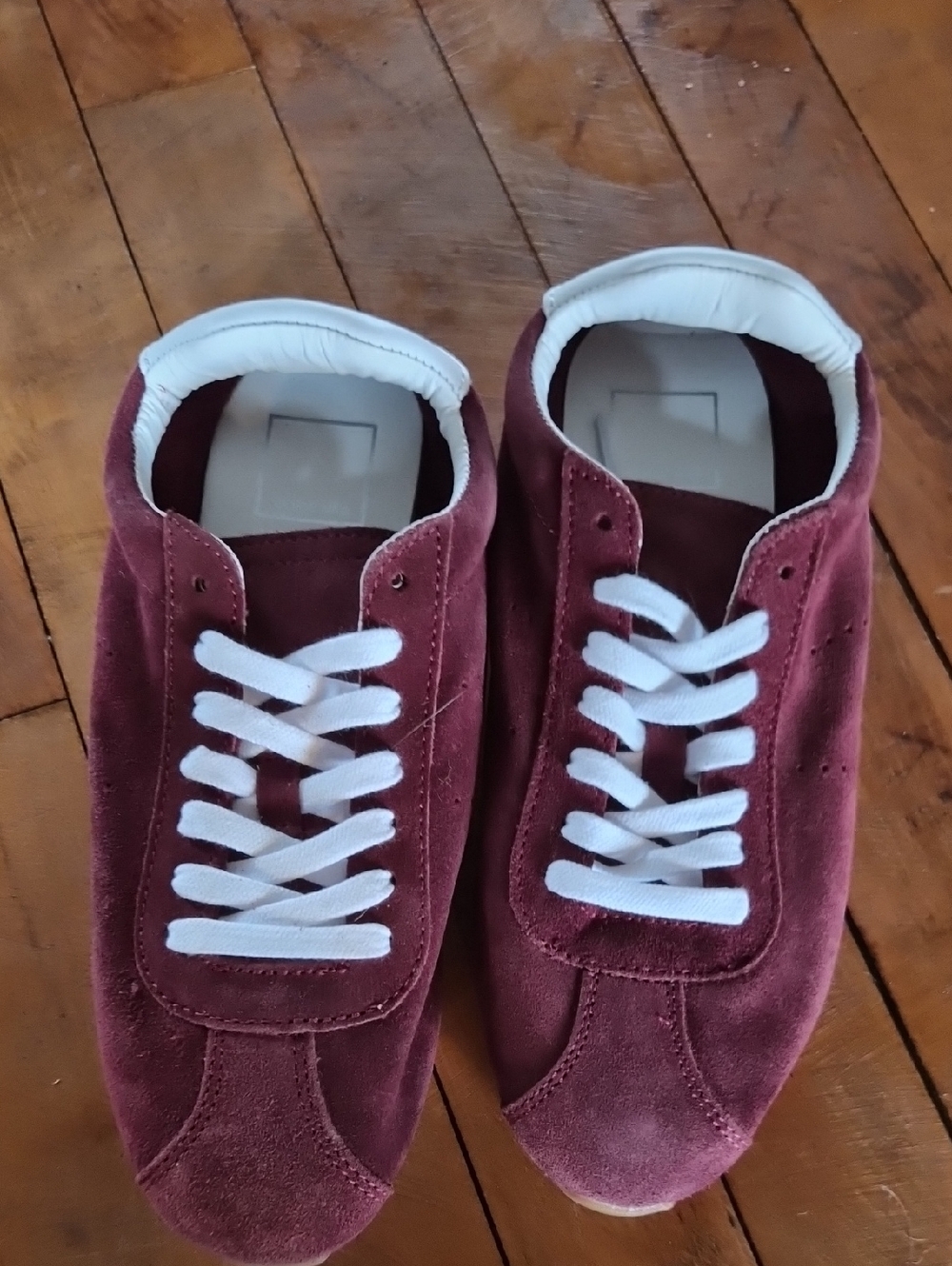Dolce Vita  Burgundy Suede Low-Top Sneakers - Stylish Casual Shoes